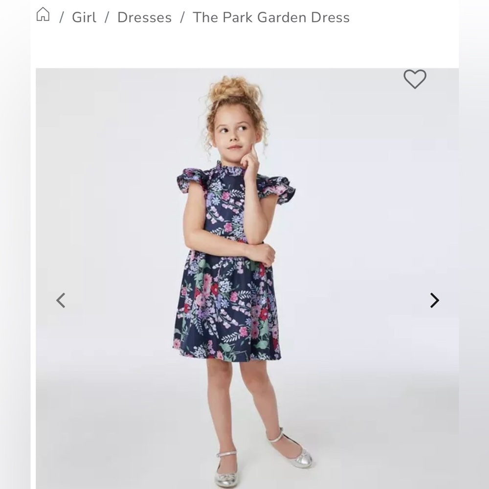 Janie and Jack The Park Garden Dress size 6-12 months